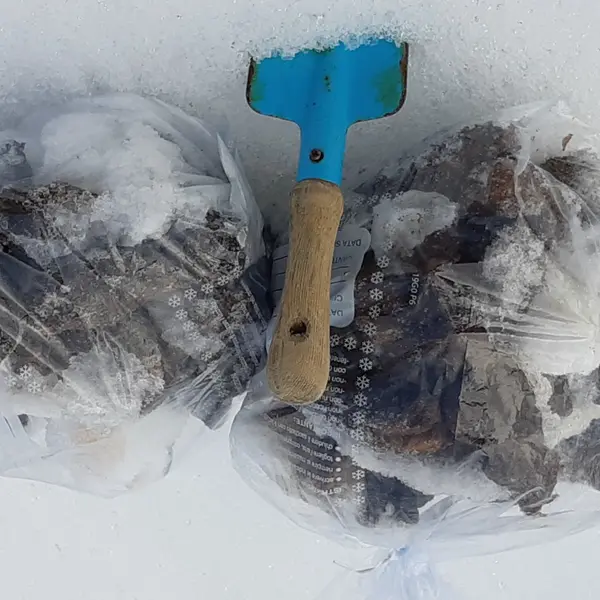 Saubere Spazierwege (2)